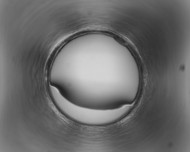 X0000115660981200912031328