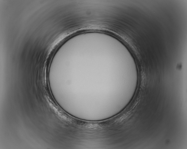 X0000115660982200912031328