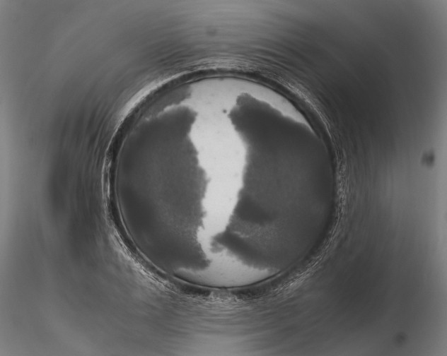 X0000115660983200912031328