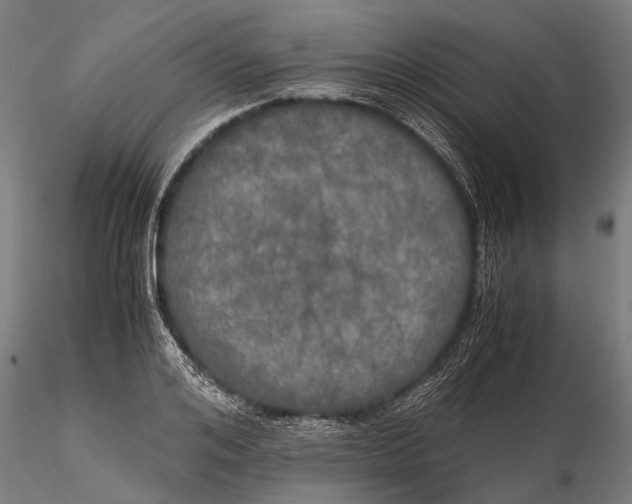X0000115660984200912031328