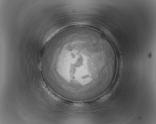 X0000115660985200912031328