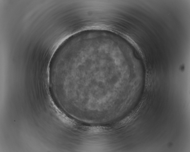 X0000115660988200912031328