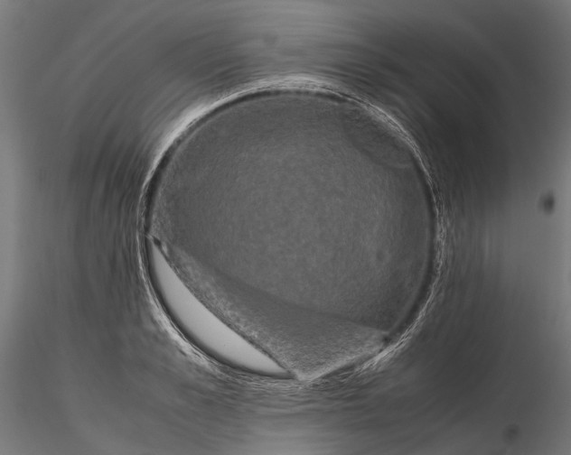 X0000115660989200912031328