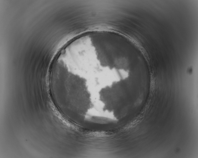 X0000115660990200912031328