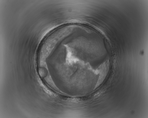 X0000115660991200912031328