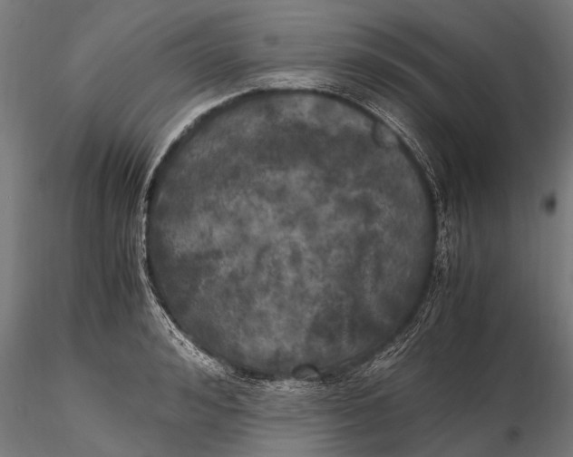 X0000115660992200912031328