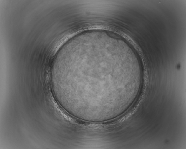 X0000115660993200912031328