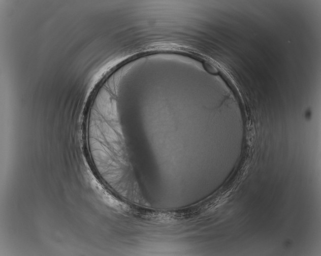 X0000115660995200912031328