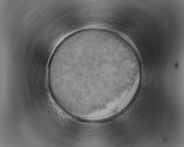 X0000115660996200912031328