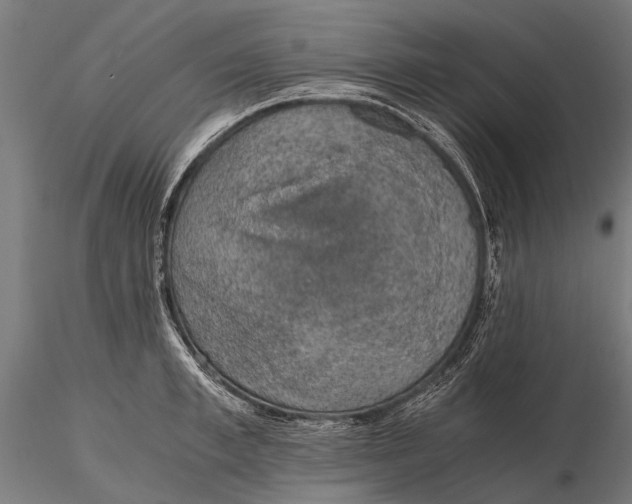 X0000115660997200912031328