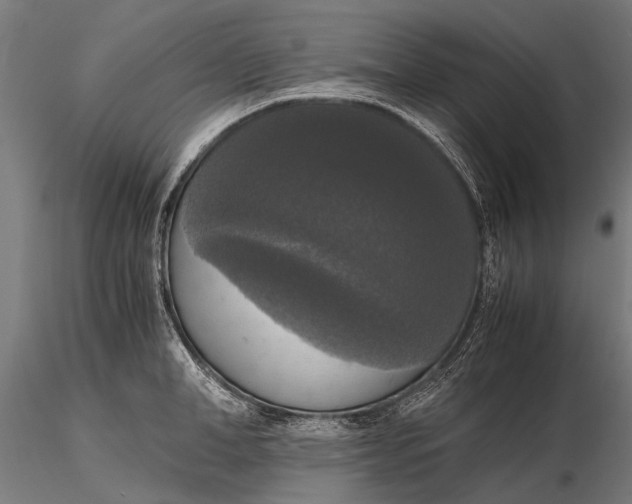 X0000115660998200912031328