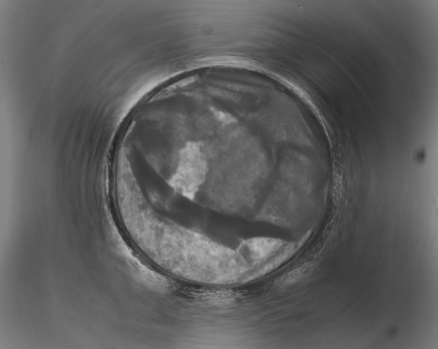 X0000115660999200912031328