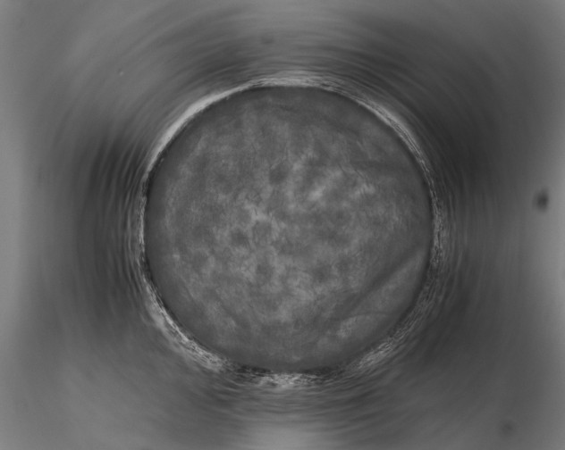 X0000115661000200912031328