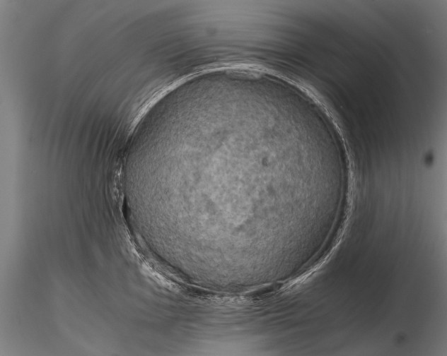 X0000115661001200912031328