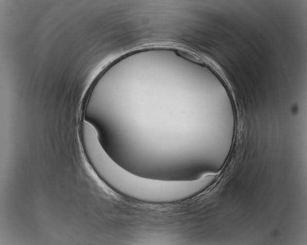 X0000115661005200912031328