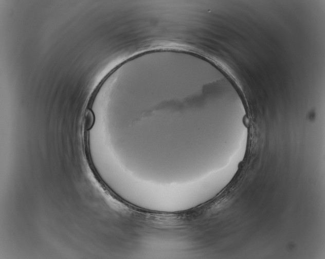 X0000115661007200912031328