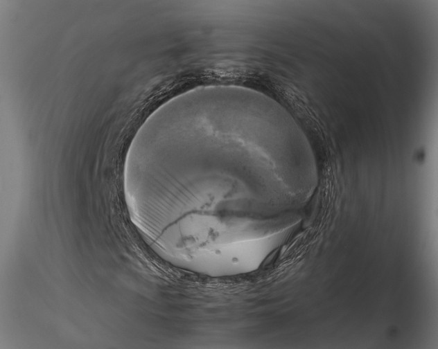 X0000115661009200912031327