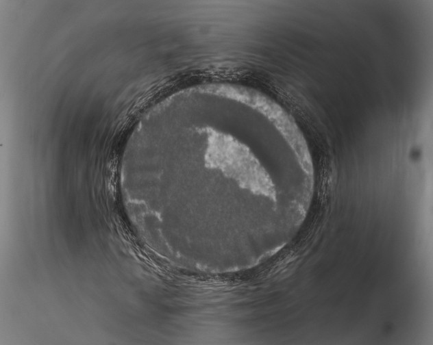 X0000115661010200912031327