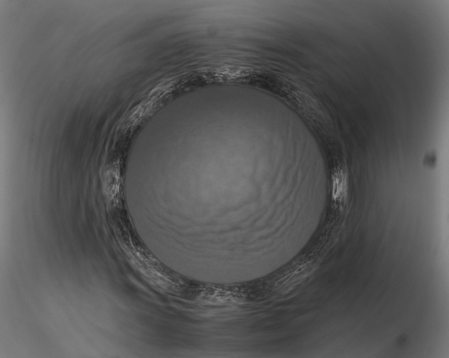 X0000115661011200912031327