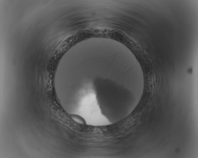 X0000115661013200912031327