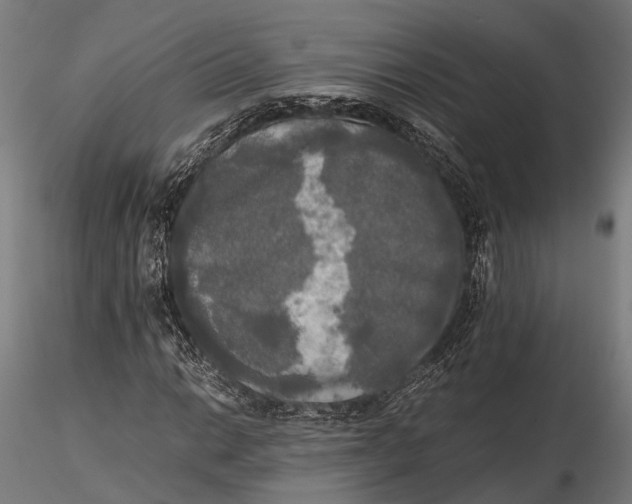 X0000115661014200912031327