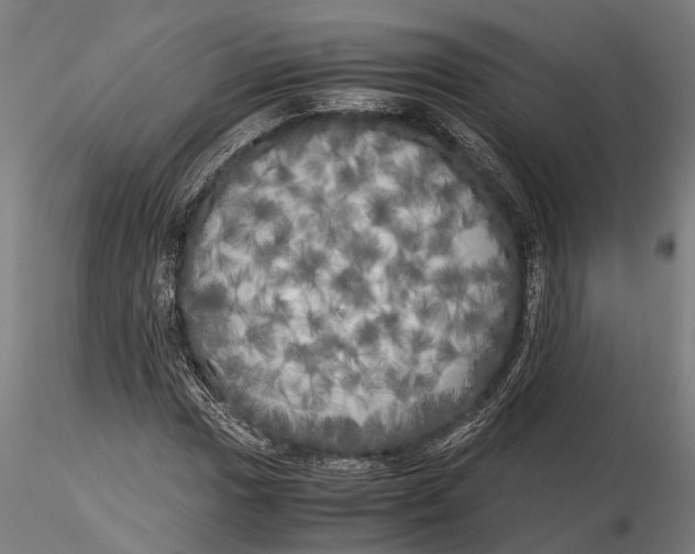 X0000115661017200912031327
