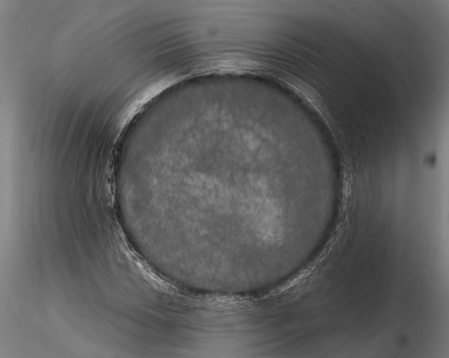 X0000115661018200912031327