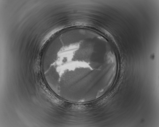 X0000115661019200912031327