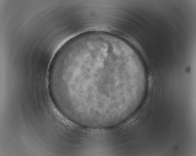 X0000115661020200912031327