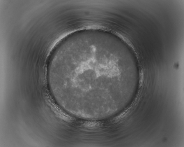 X0000115661021200912031327