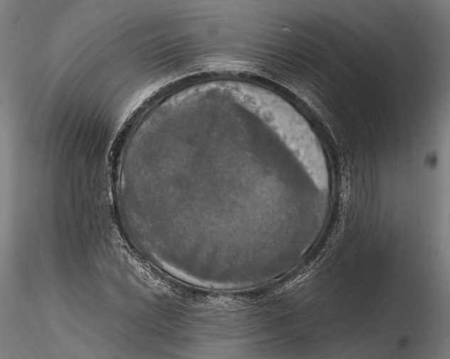 X0000115661022200912031327