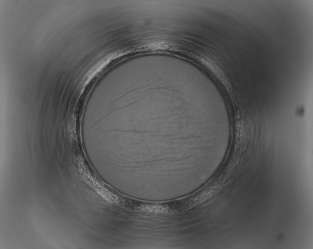 X0000115661023200912031327