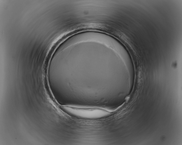 X0000115661024200912031327