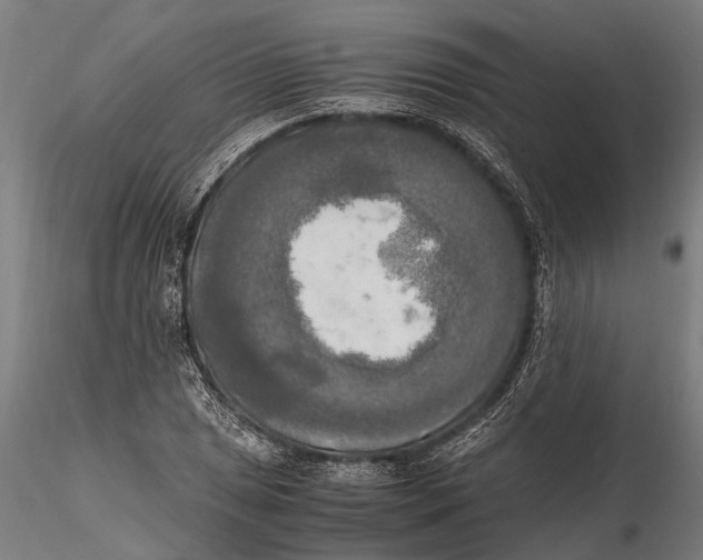 X0000115661025200912031327