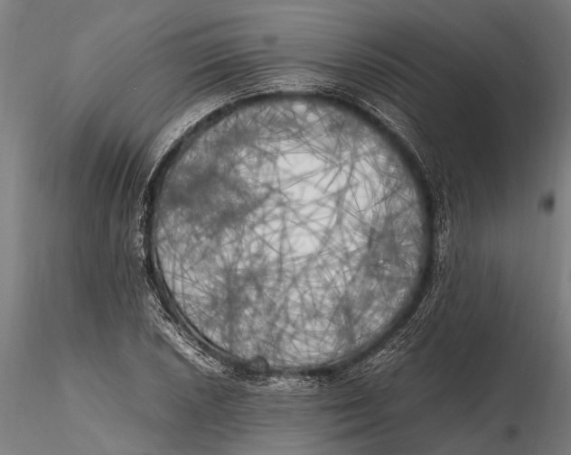 X0000115661026200912031327