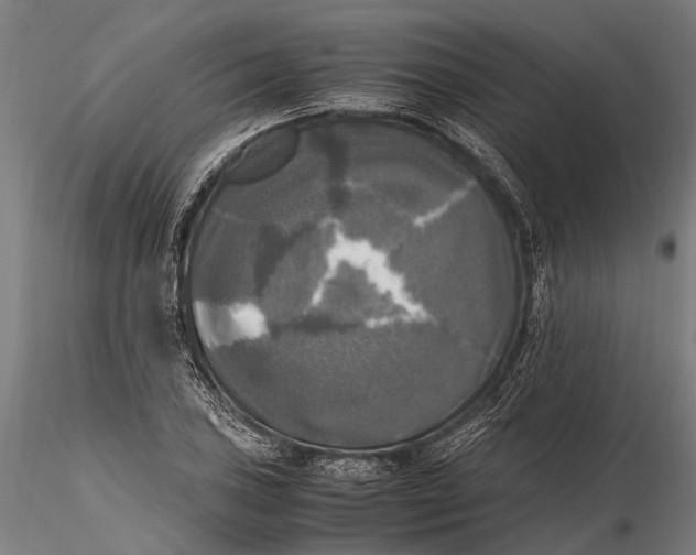 X0000115661027200912031327