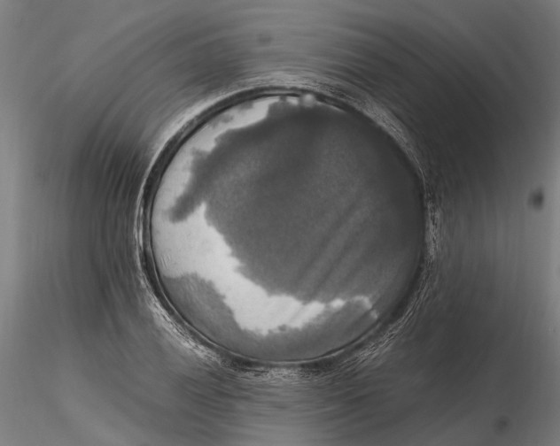 X0000115661028200912031328