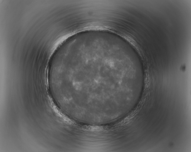 X0000115661030200912031328