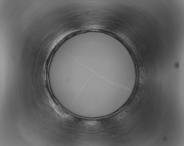 X0000115661031200912031328