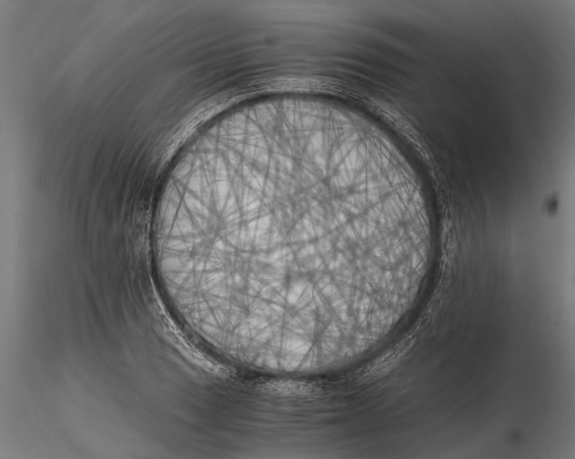 X0000115661033200912031328