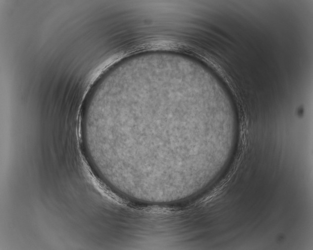 X0000115661034200912031328