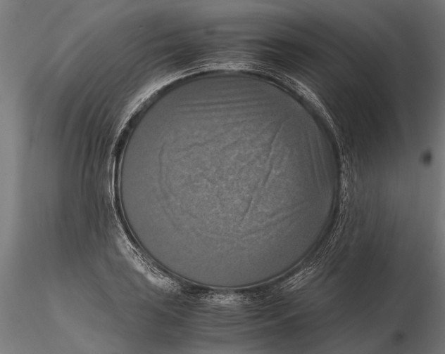 X0000115661035200912031328
