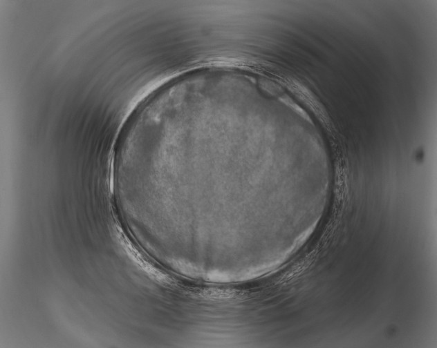 X0000115661036200912031328