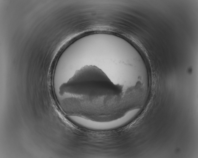 X0000115661037200912031328