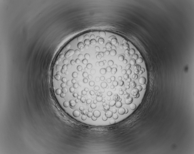 X0000115661044200912031328