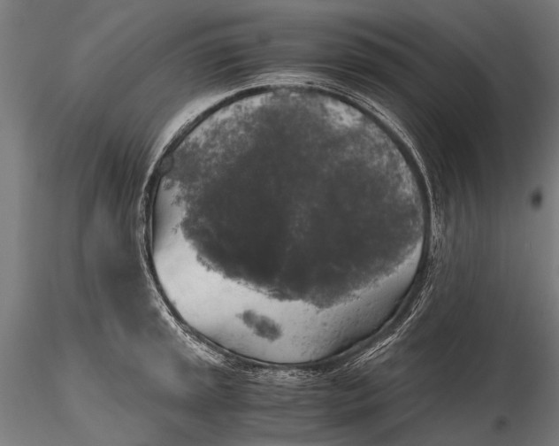 X0000115661045200912031328