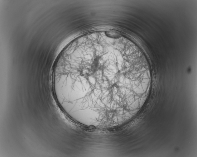 X0000115661050200912031328