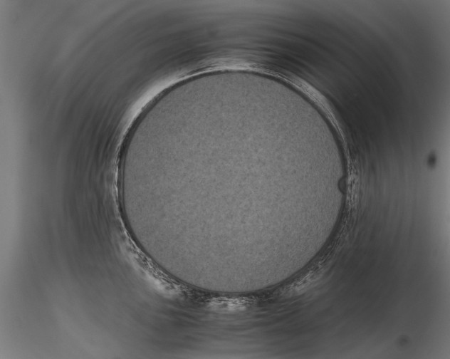 X0000115661051200912031328