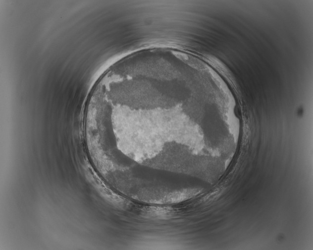 X0000115661052200912031328