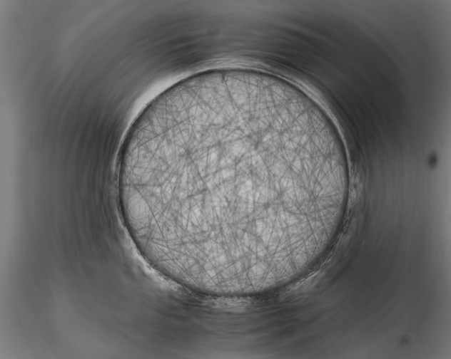 X0000115661053200912031328